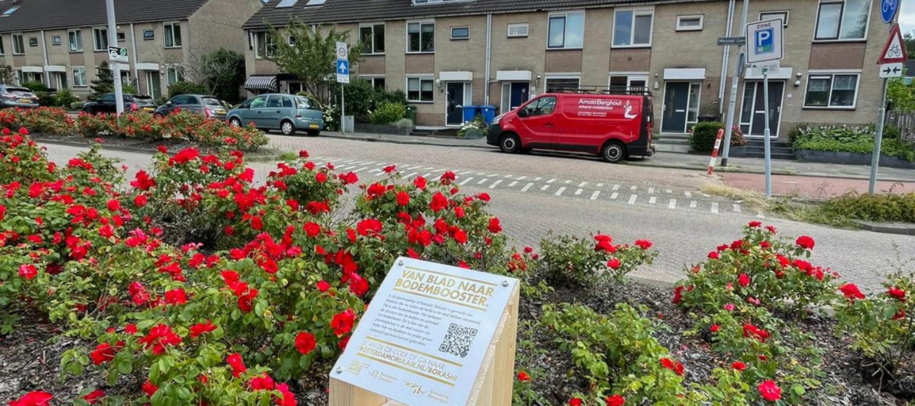 houten bokashi informatie paaltje in plantsoen met rode bloemen. Op de achtergrond een straat met rijtjeshuizen.