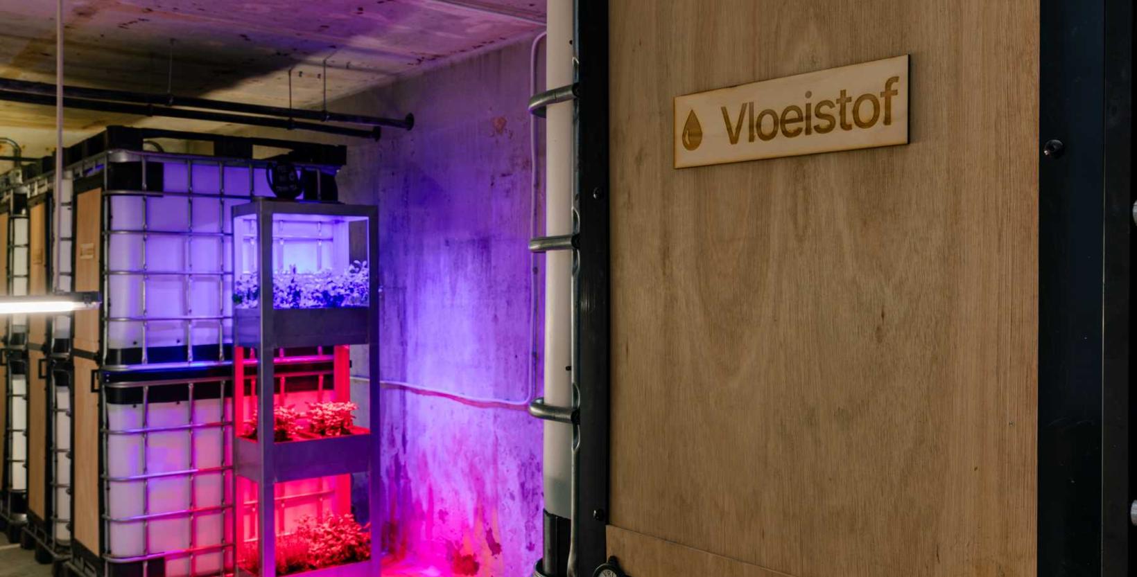 roze en paars neon verlichte kelder. Met grote witte plastic containers. Op de voorgrond een houten bordje met "vloeistof"